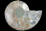 Agatized Ammonite Fossil (Half) - Crystal Chambers #103104-1